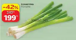 Auchan Újhagyma ajánlat