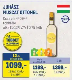 Metro JUHÁSZ Muscat Ottonel ajánlat