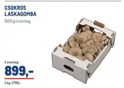 Metro Csokros laskagomba ajánlat