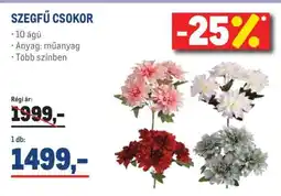 Metro SZEGFŰ CSOKOR ajánlat