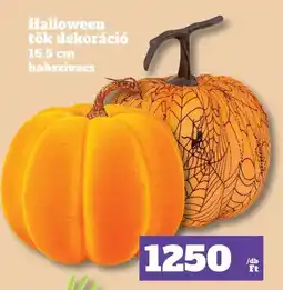 Family Diszkont Halloween tők dekoráció ajánlat