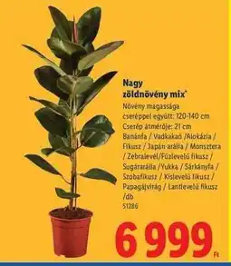 Lidl Nagy zöldnövény mix ajánlat
