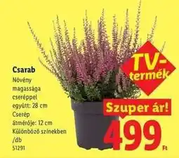 Lidl Csarab ajánlat