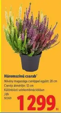 Lidl Háromszínű csarab ajánlat