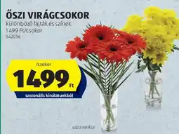 ALDI Őszi virágcsokor ajánlat