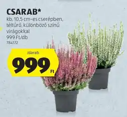 ALDI Csarab ajánlat