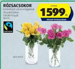 ALDI RÓZSACSOKOR ajánlat