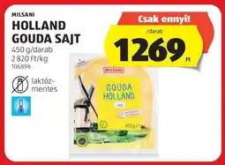 ALDI MILSANI HOLLAND GOUDA SAJT ajánlat