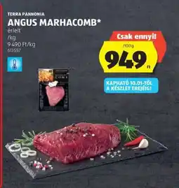 ALDI Terra Pannonia Angus Marhacomb ajánlat