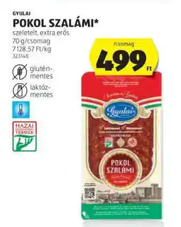 ALDI GYULAI POKOL SZALÁMI ajánlat