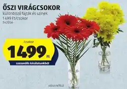 ALDI őszi virágcso kor ajánlat