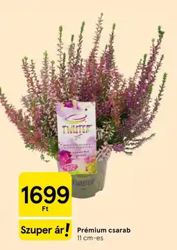 Tesco Twister csarab ajánlat