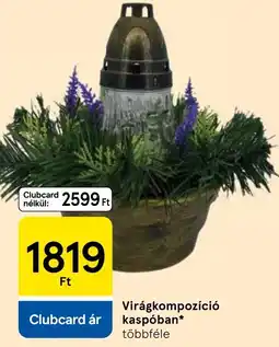 Tesco Virágkompozíció kaspóban ajánlat