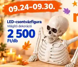 Pepco LED-csontvázfigura ajánlat
