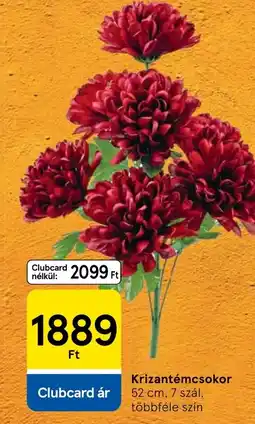 Tesco Krizantémcsokor ajánlat