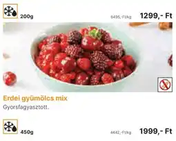 Family Frost Erdei gyümölcs mix ajánlat