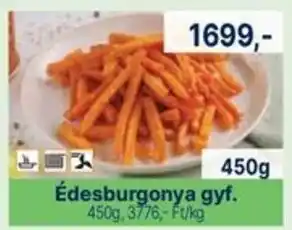 Édesburgonya gyf.