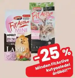 Interspar Panzi fit active ajánlat