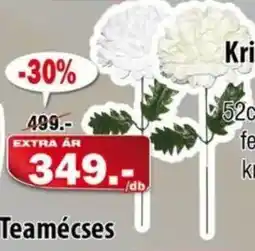 Vianni Drogéria Teamécses ajánlat