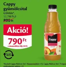 EcoFamily Cappy gyümölcsital ajánlat