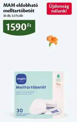 EcoFamily Mam melltartóbetét ajánlat