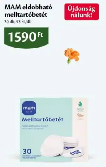 Mam melltartóbetét
