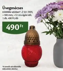 EcoFamily Üvegmécse ajánlat