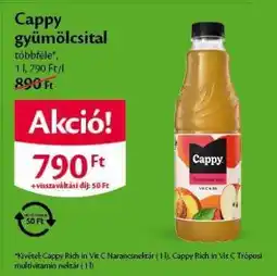 EcoFamily Cappy Gyümölcsital ajánlat
