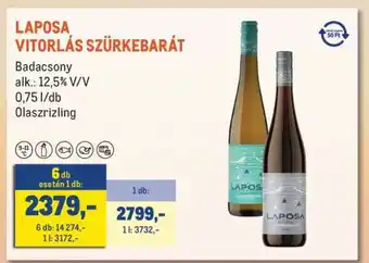 LAPOSA VITORLÁS SZÜRKEBARÁT