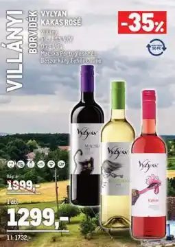 Metro VYLYAN Kakas Rosé ajánlat