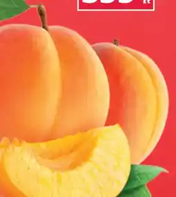 Family Diszkont Apricot ajánlat