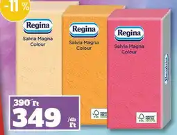 Family Diszkont Regina salvia magna colour ajánlat