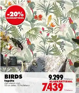Diego Birds tapéta ajánlat