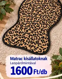 Pepco Matrac kisállatoknak ajánlat