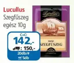 ÁRKLUB Lucullus szegfűszeg ajánlat
