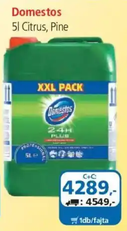 ÁRKLUB Domestos ajánlat