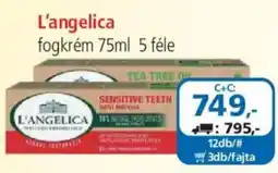 ÁRKLUB L'angelica fogkrém ajánlat
