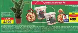 Spar Haza csalamádé ajánlat