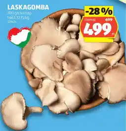 ALDI Laskagomba ajánlat