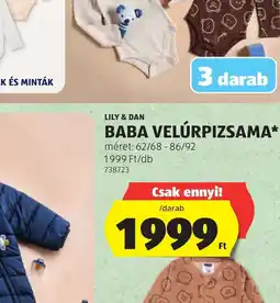 ALDI Zöld szobanövény ajánlat
