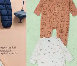 ALDI őszi virágcso ajánlat