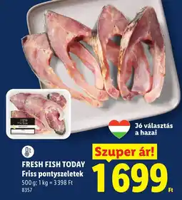 Lidl Fresh fish today ajánlat