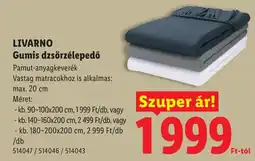 Lidl Livarno gumis dzsörzélepedő ajánlat