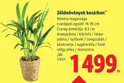 Lidl Zöldnövények kosárban ajánlat