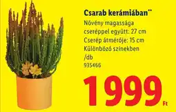 Lidl Cesarab kerámiában ajánlat