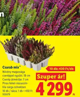 Lidl Csarab mix ajánlat