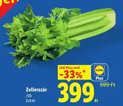 Lidl Lidl Zellerszár ajánlat