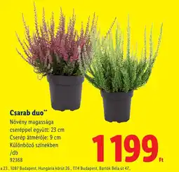 Lidl Csarab duo ajánlat
