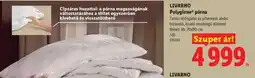 Lidl LIVARNO Polygiene párna ajánlat