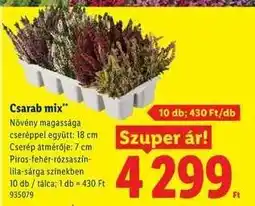 Lidl Csarab mix ajánlat